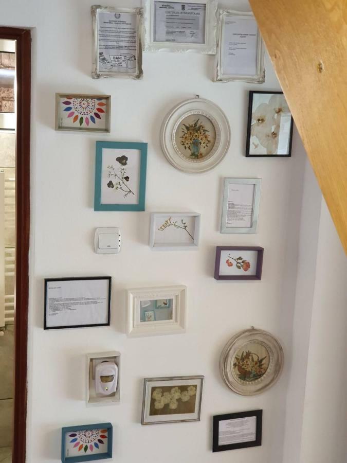 Casa Lucky Otel Rîşnov Dış mekan fotoğraf