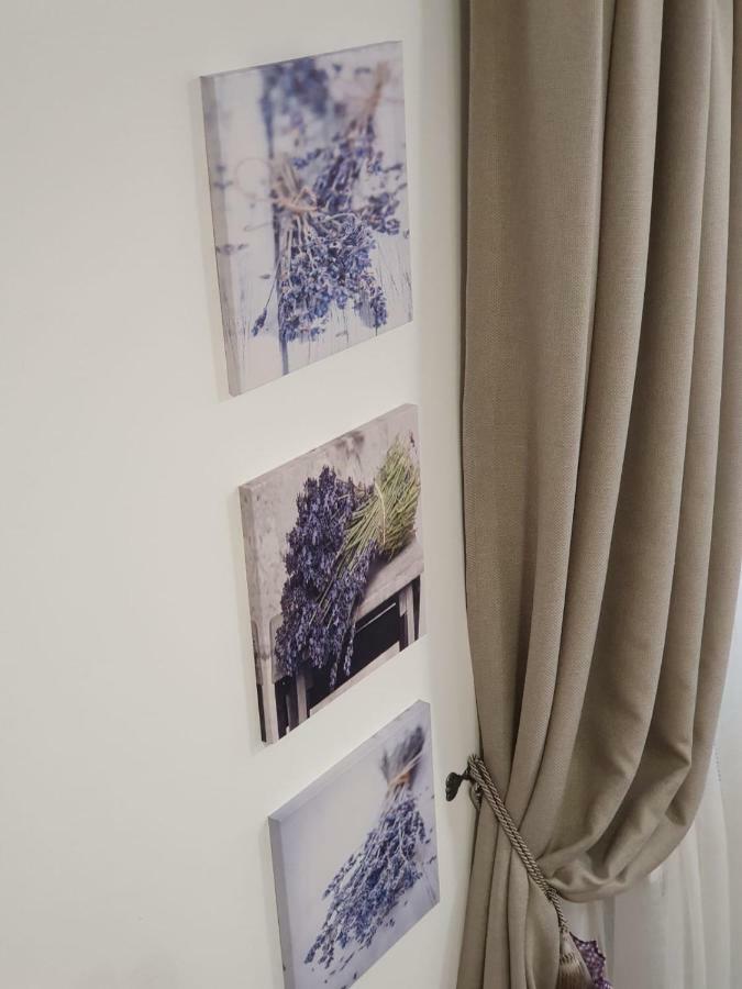 Casa Lucky Otel Rîşnov Dış mekan fotoğraf