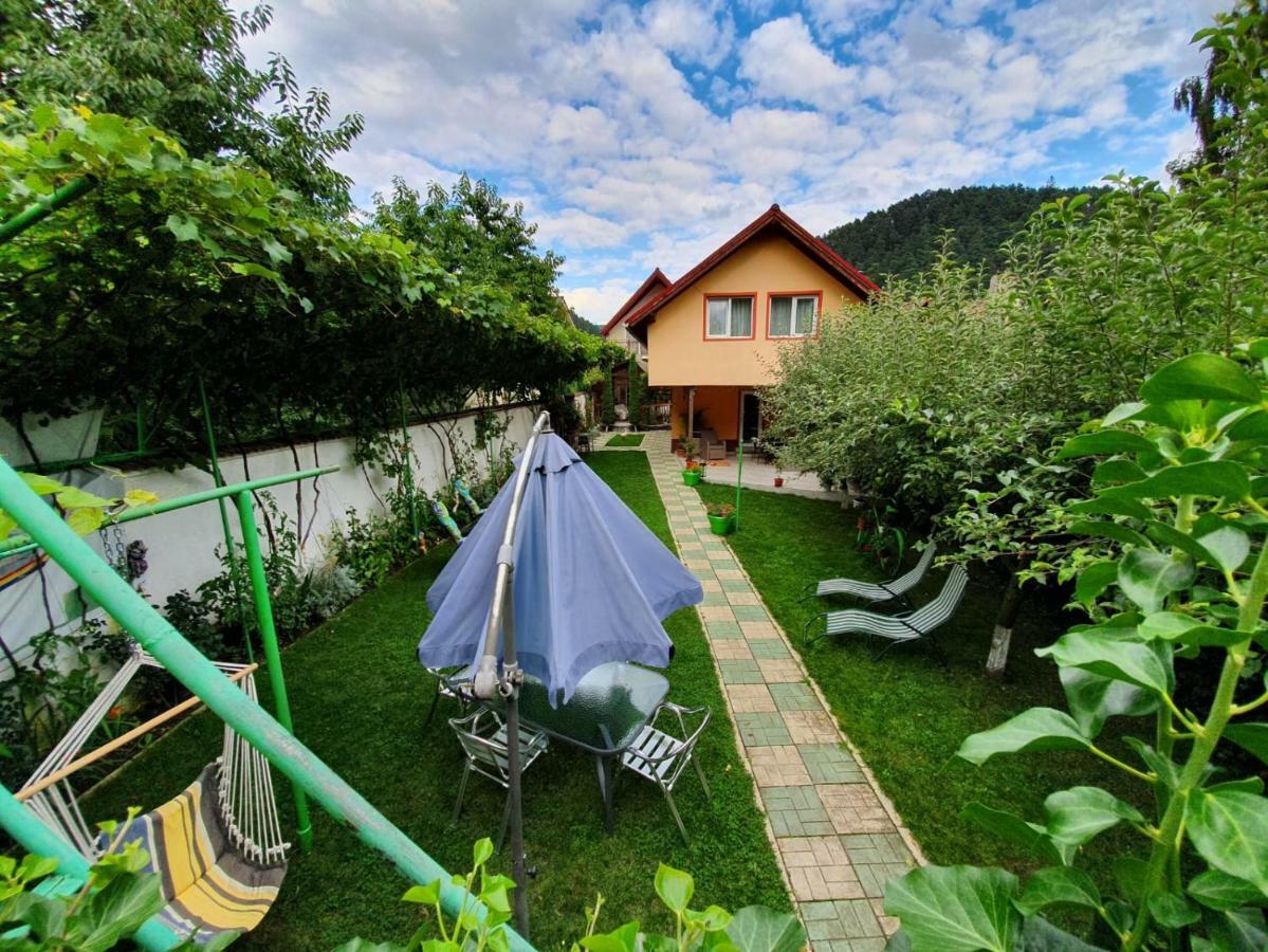 Casa Lucky Otel Rîşnov Dış mekan fotoğraf