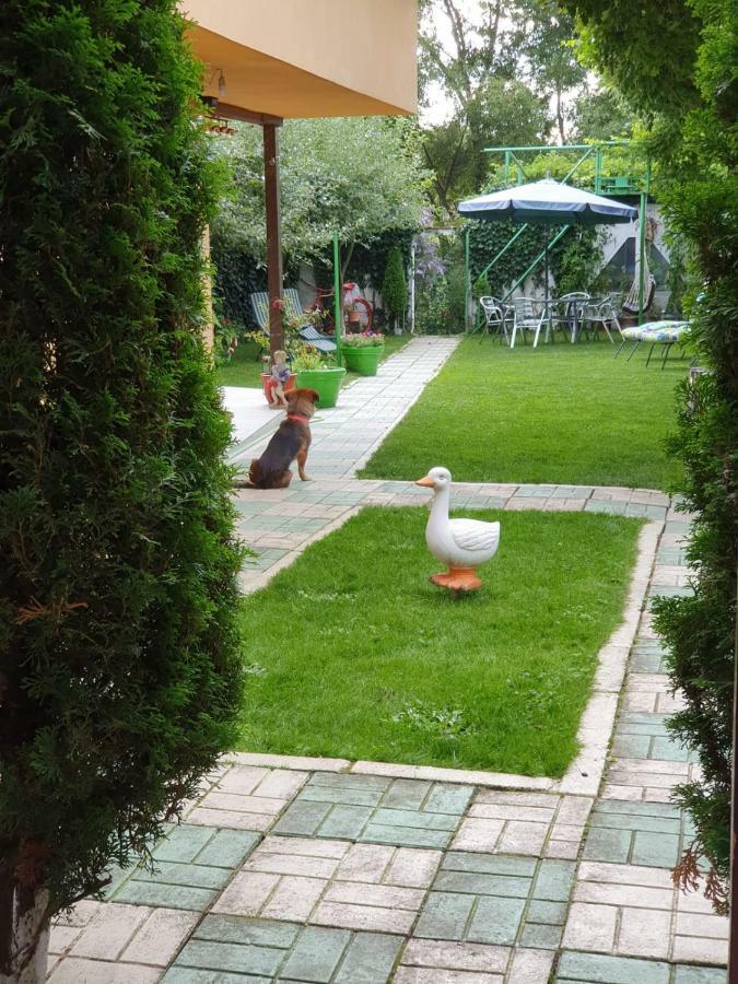 Casa Lucky Otel Rîşnov Dış mekan fotoğraf